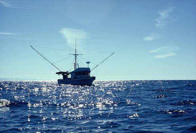 Sitka troller